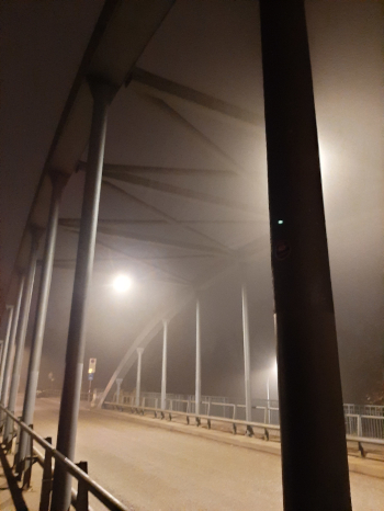 Run_20260204_preview